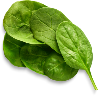 Isolated Cutout PNG