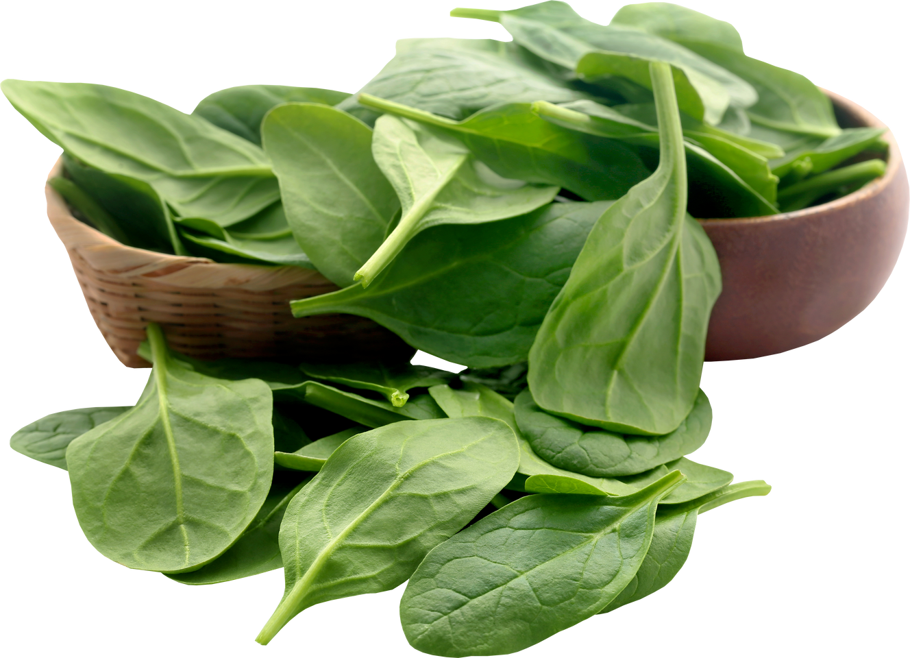 Fresh Spinach